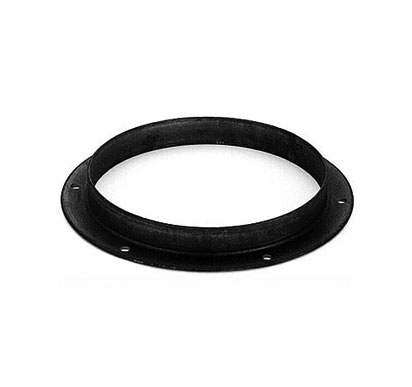 Companion Rings